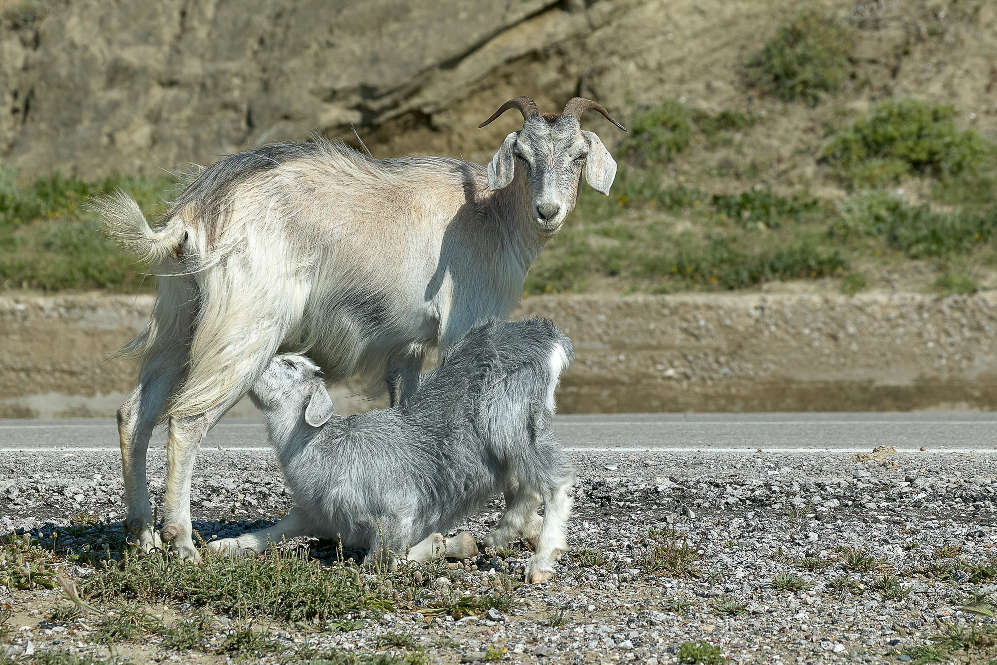 street scene, Rhodes
